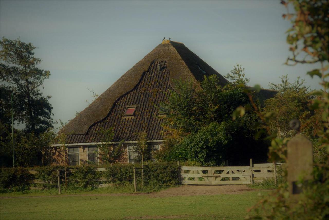 Sterrenhoeve Castricum Exteriér fotografie